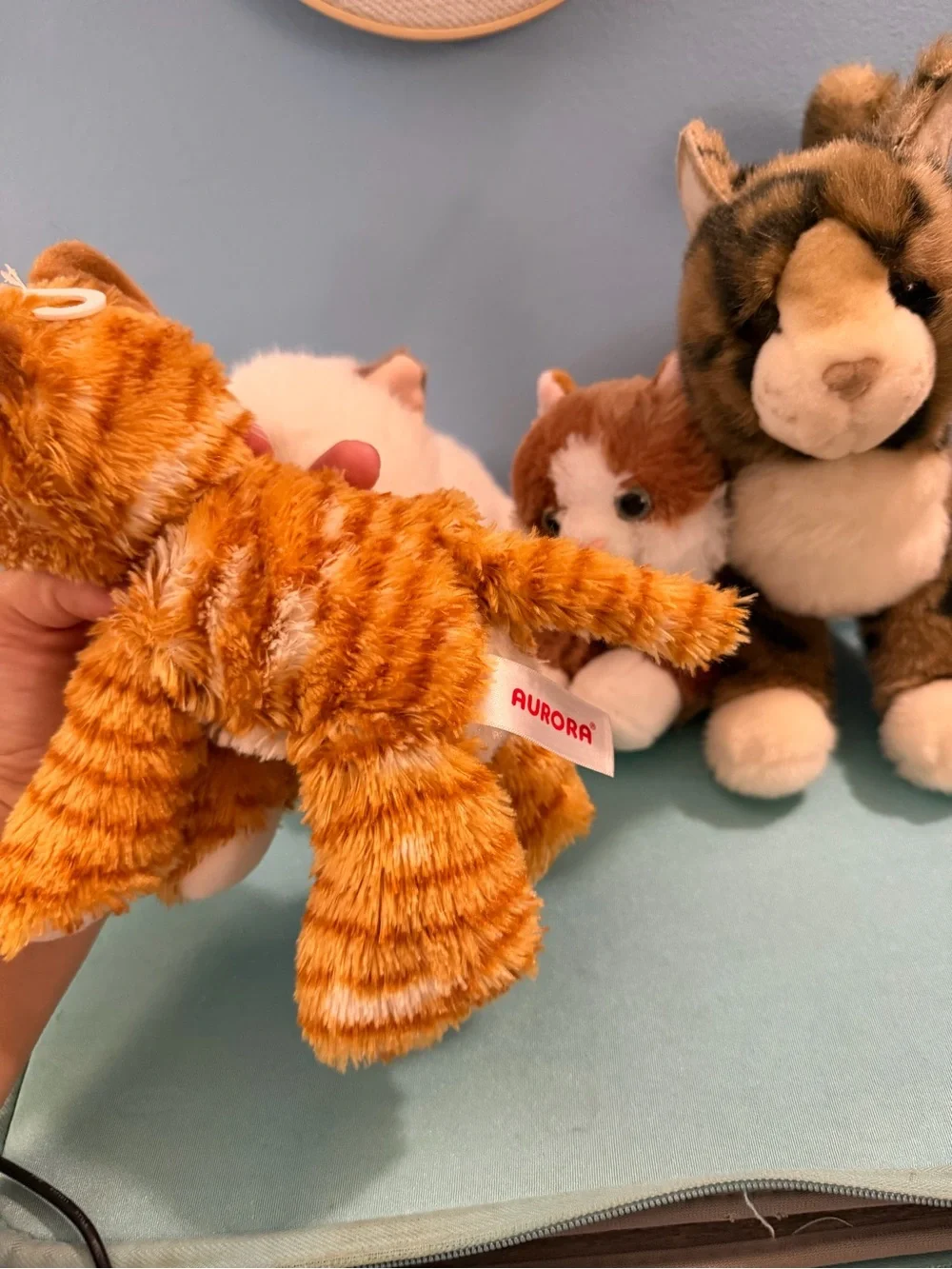 Cat plush bundle 2 aurora 1 bass pro